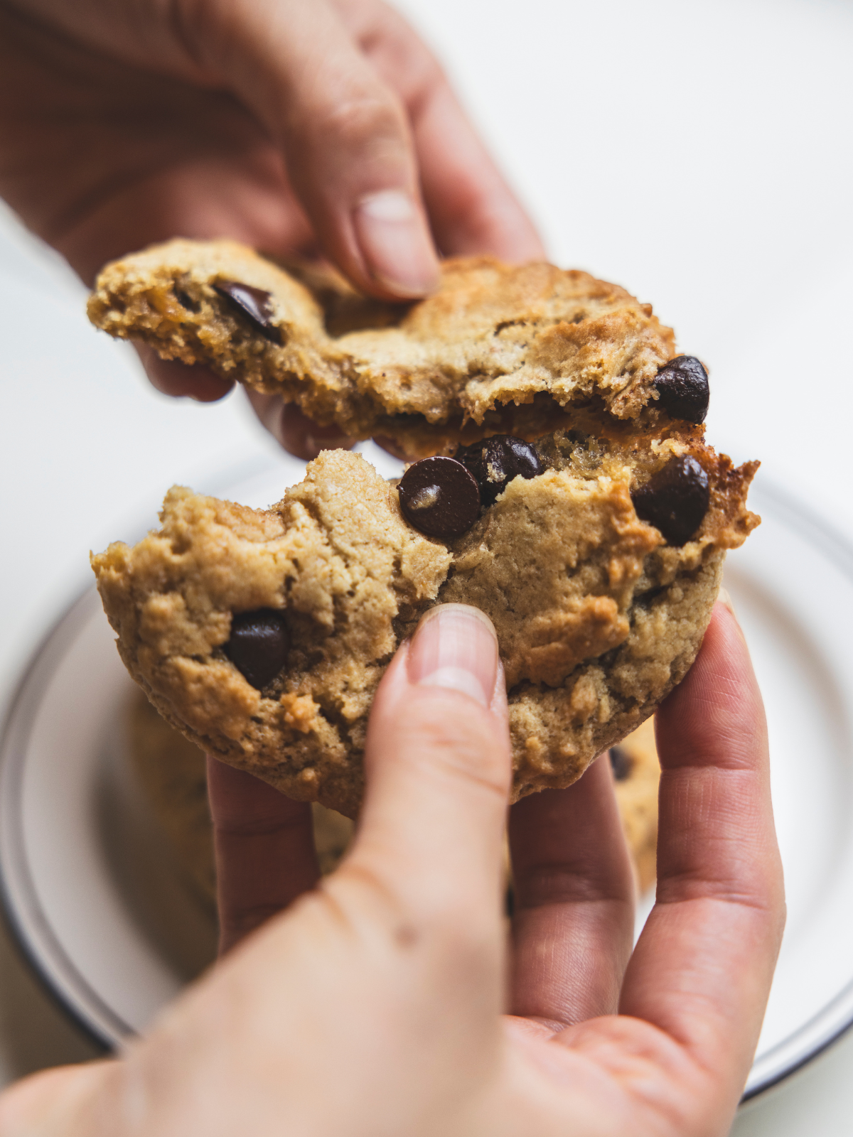 【数量限定】TOGETHER is BETTER COOKIE SET ★限定クッキー3枚入り