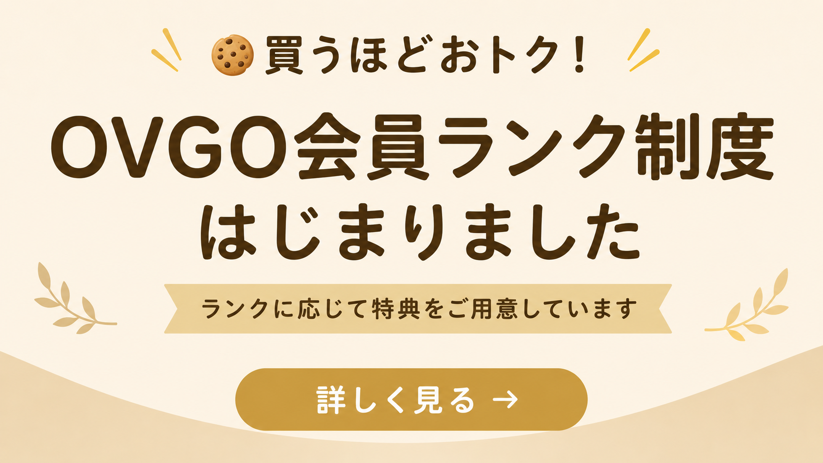 about-customer-rank