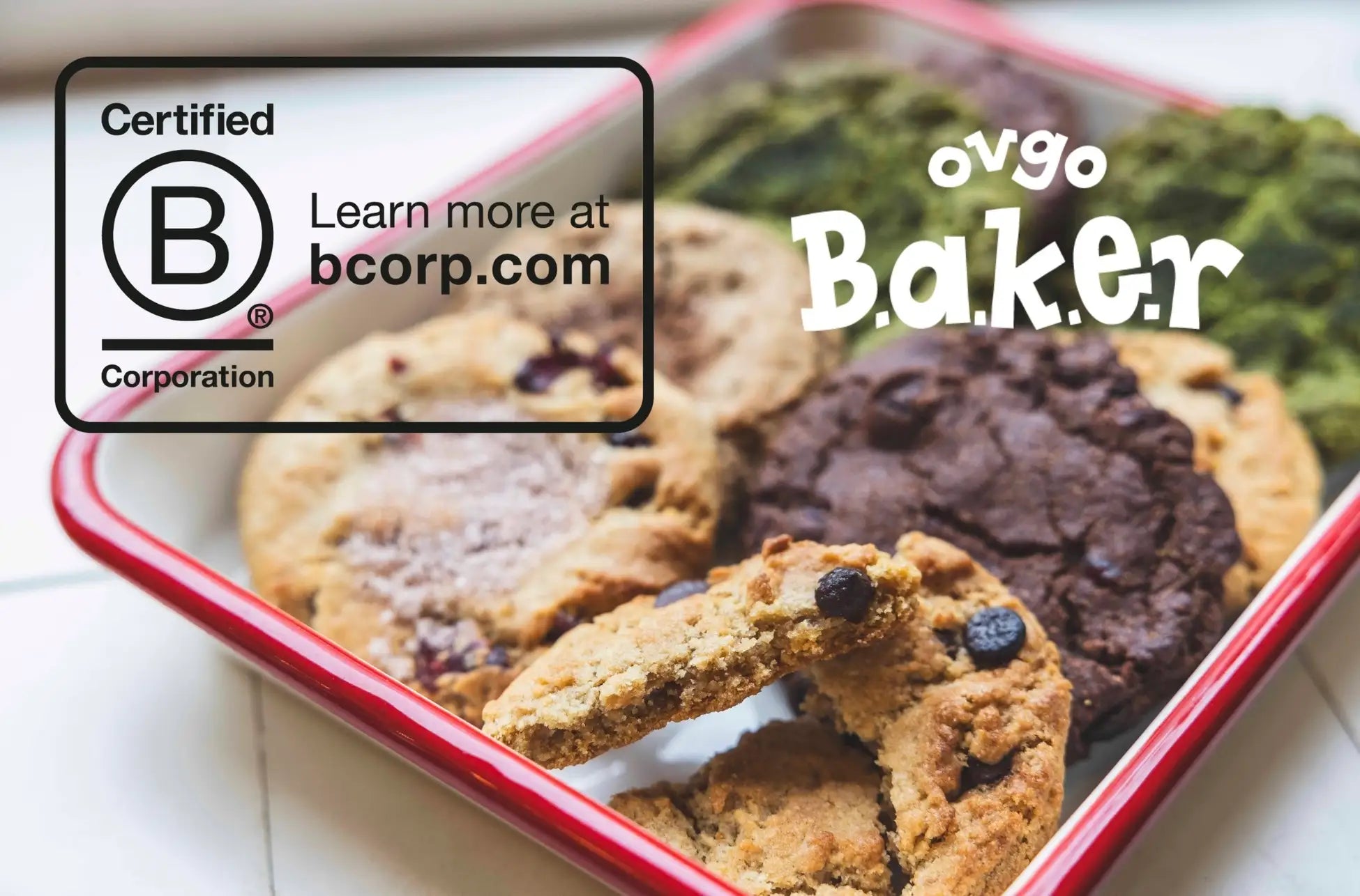 B Corp再認証のお知らせ ― ovgo Bakerが大切にする"やさしい選択"のこれから